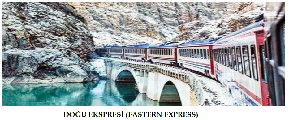 sosyalarastirmalar-EKSPRESI